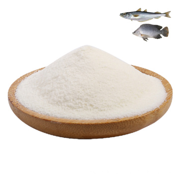 High Quality Hydrolyzed Fish Collagen Peptide Powder